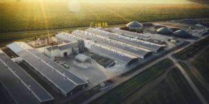 Emissio Solaranlage Leipzig